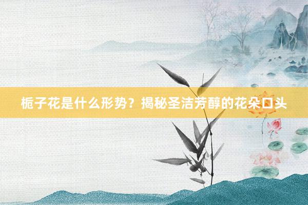 栀子花是什么形势？揭秘圣洁芳醇的花朵口头