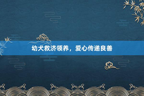 幼犬救济领养，爱心传递良善