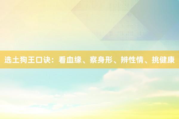 选土狗王口诀:看血缘、察身形、辨性情、挑健康