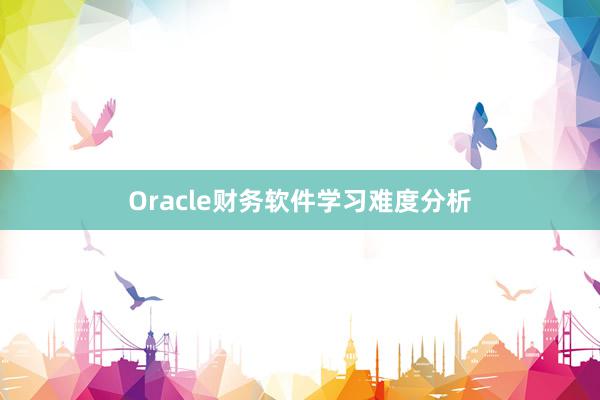 Oracle财务软件学习难度分析